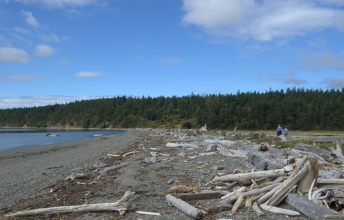 Driftwood on Lopez Island